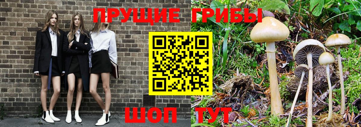 Кимовск  Галлюциногенные грибы мухоморы  Галлюциногенные грибы Cubensis  Вход с VPN 
