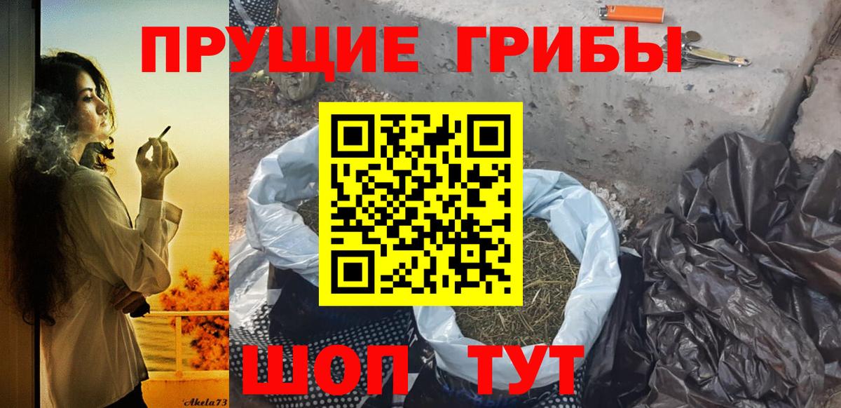 Псилоцибиновые грибы Cubensis Кимовск
